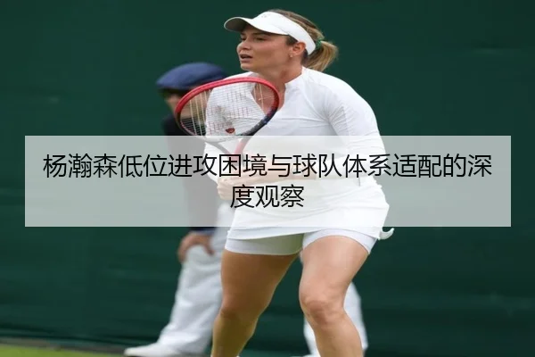 杨瀚森低位进攻困境与球队体系适配的深度观察